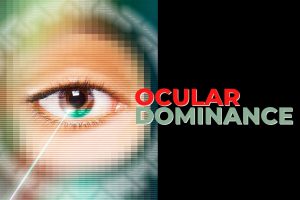 ocular dominance